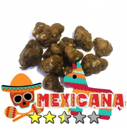 Budget Truffels | Psilocybe Mexicana € 0.00 Magische Truffels