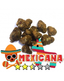 Budget Truffels | Psilocybe Mexicana € 0.00 Magische Truffels
