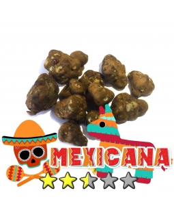 Budget Truffles | Psilocybe Mexicana € 0.00 Magic Truffles