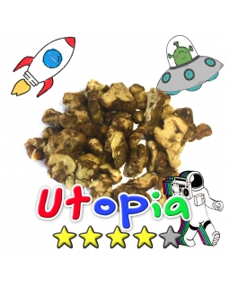 Magic Truffels | Psilocybe Utopia € 12.50 Magische Truffels