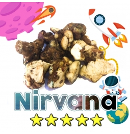 Budget Truffles | Psilocybe Nirvana € 0.00 Magic Truffles
