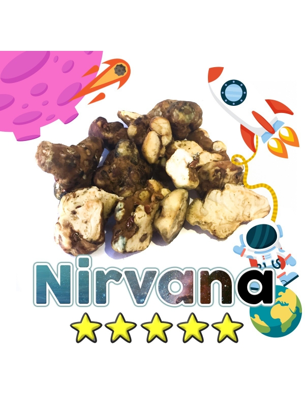 Budget Truffels | Psilocybe Nirvana € 0.00 Magische Truffels