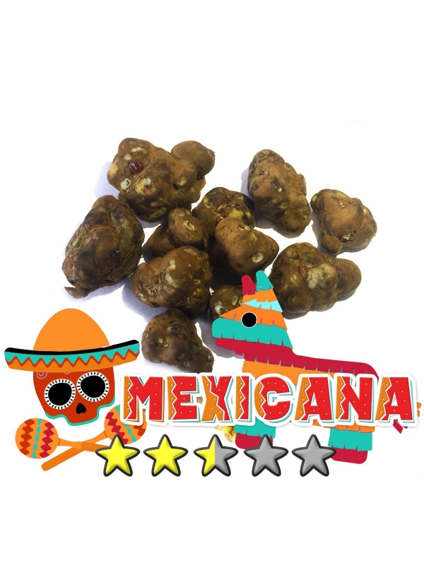 Budget Truffles | Psilocybe Mexicana € 0.00 Magic Truffles