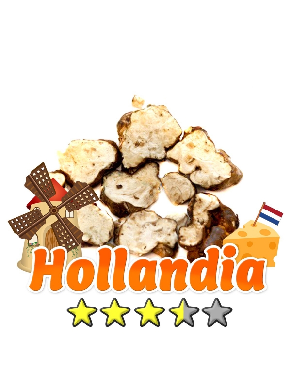 Budget Truffels | Psilocybe Hollandia € 12.95 Magische Truffels