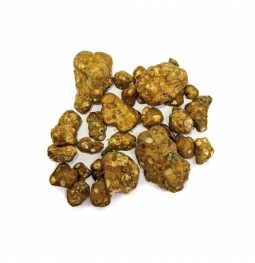 Magische Truffels | Psilocybe Shambhala 12,95  € Home