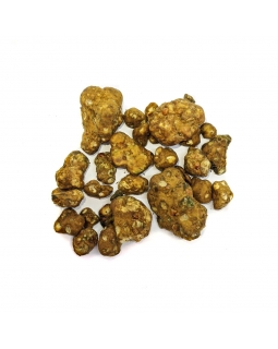 Magische Truffels | Psilocybe Shambhala 12,95  € Home