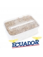 Cubensis Ecuador - Paddo Growkit 27,50   Paddo Growkits